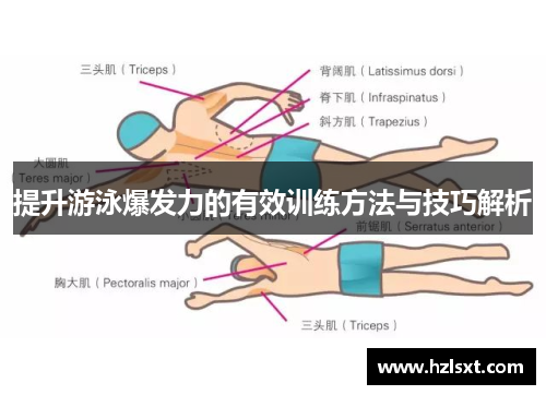 提升游泳爆发力的有效训练方法与技巧解析